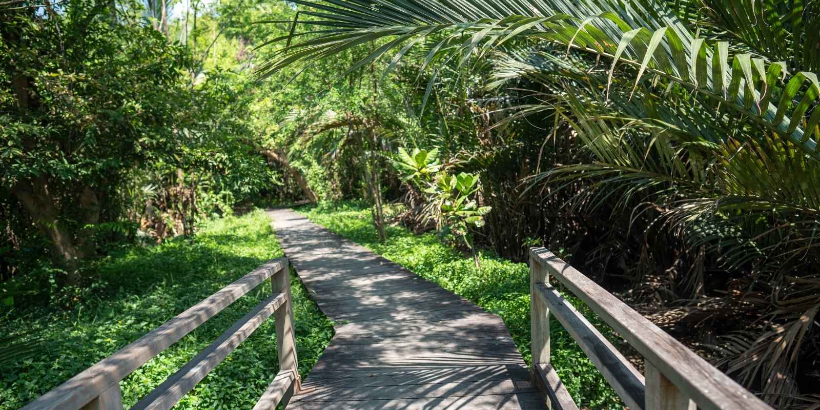 Cómo Punta Cana está dejando de ser solo turismo para convertirse en una ciudad de inversión en 2026
