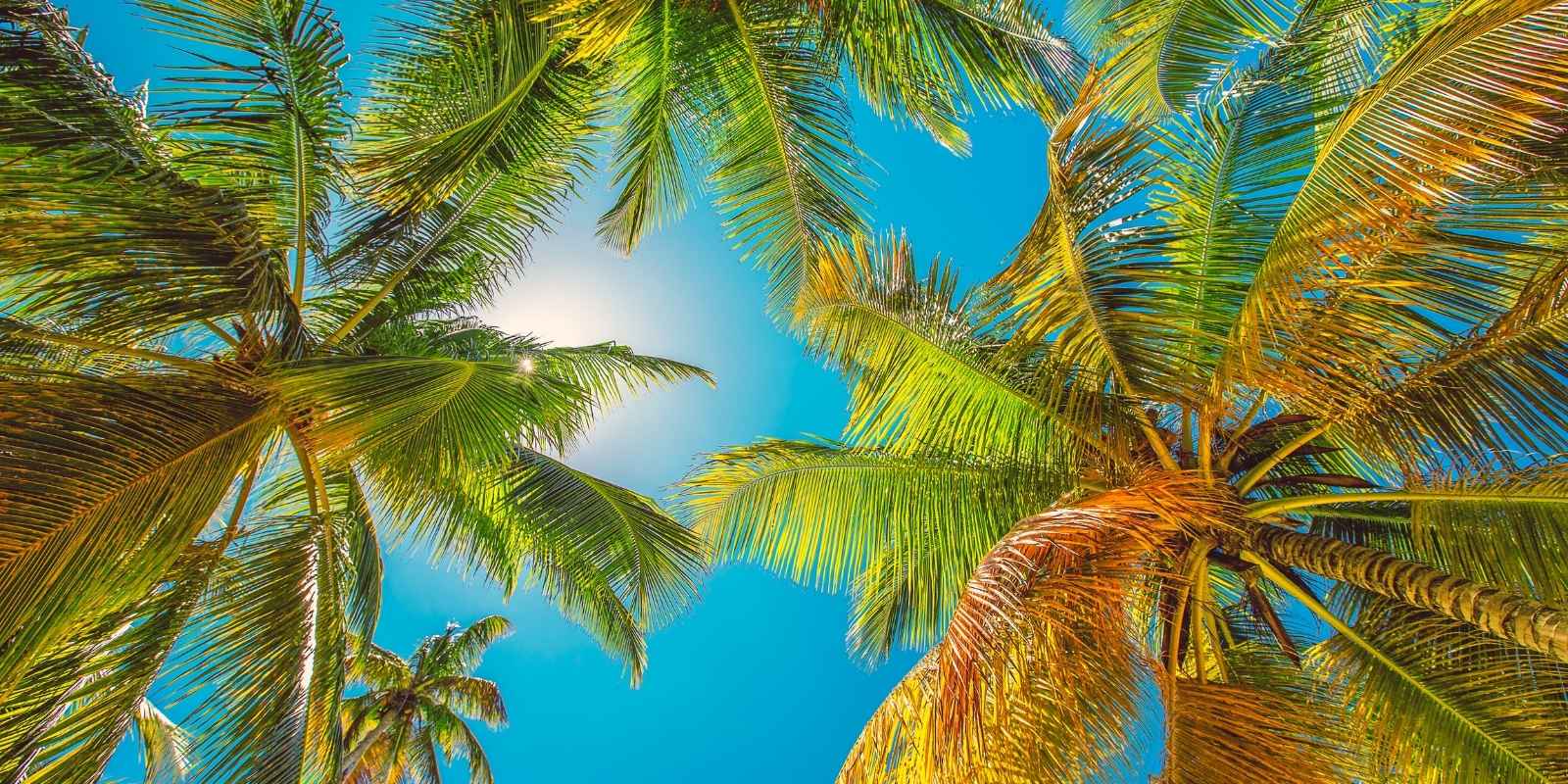 Los Corales: Encanto Bohemio en el Caribe