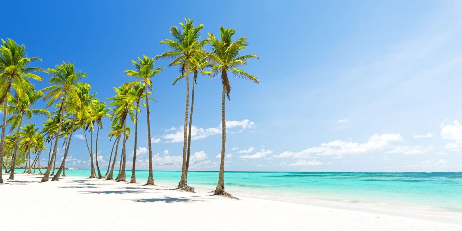 Invertir en Punta Cana en 10 pasos: Guía del Inversor Extranjero