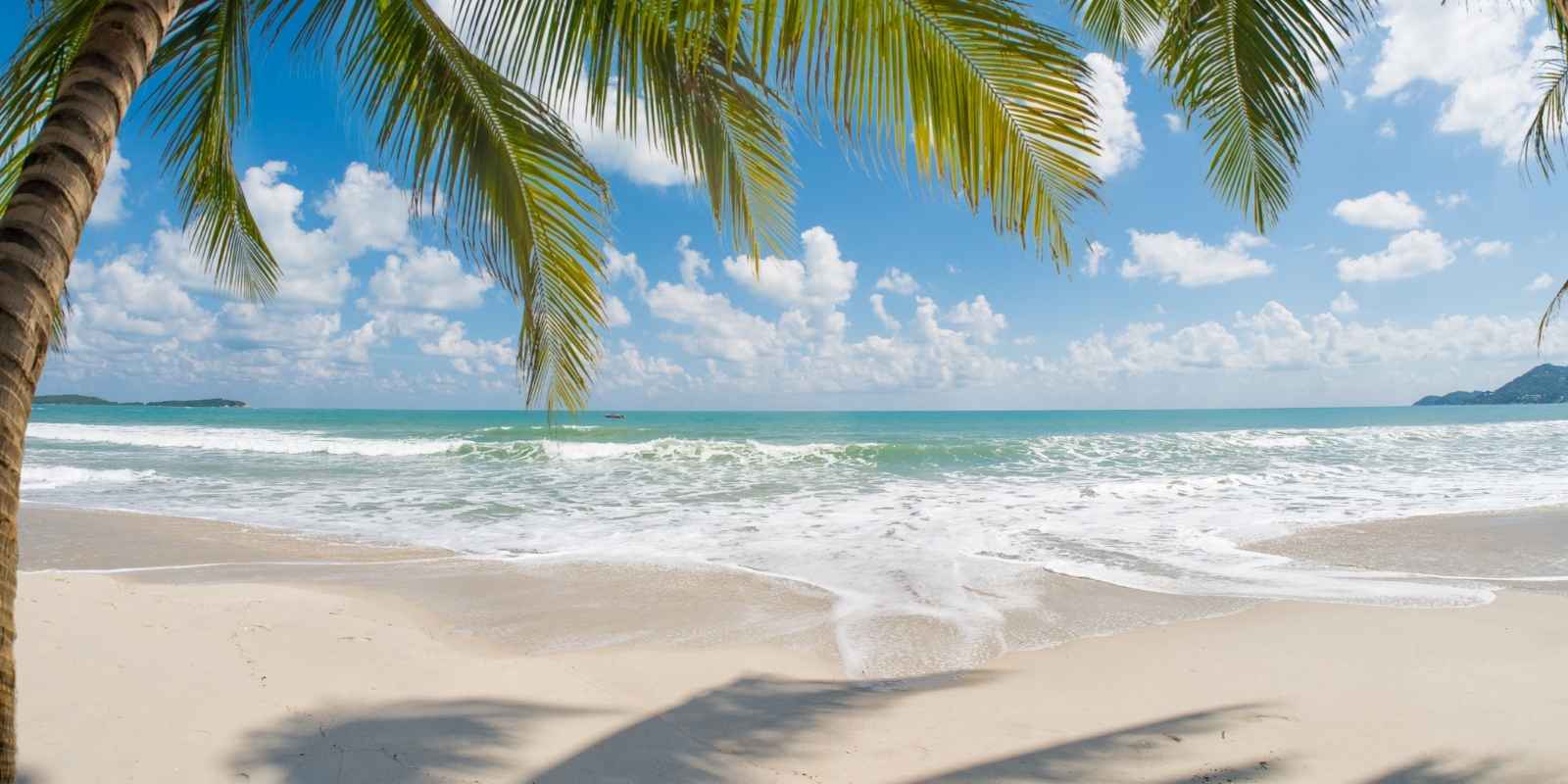 Maravillas de Punta Cana: Por qué este paraíso es tu mejor inversión