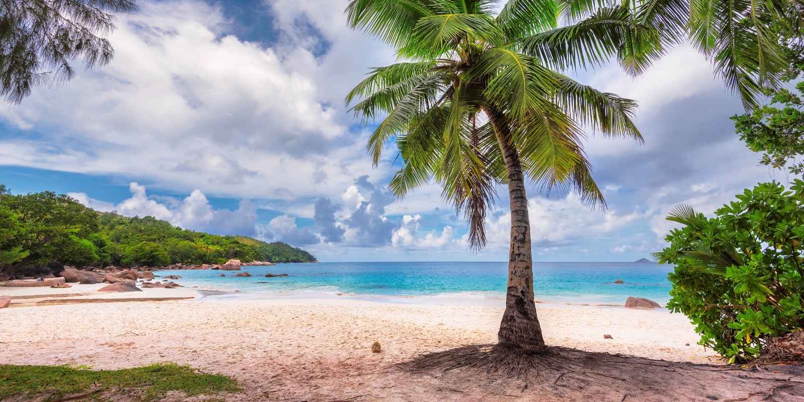 Inversión Libre de Estacionalidad en Punta Cana: Rentabilidad constante los 12 meses del año