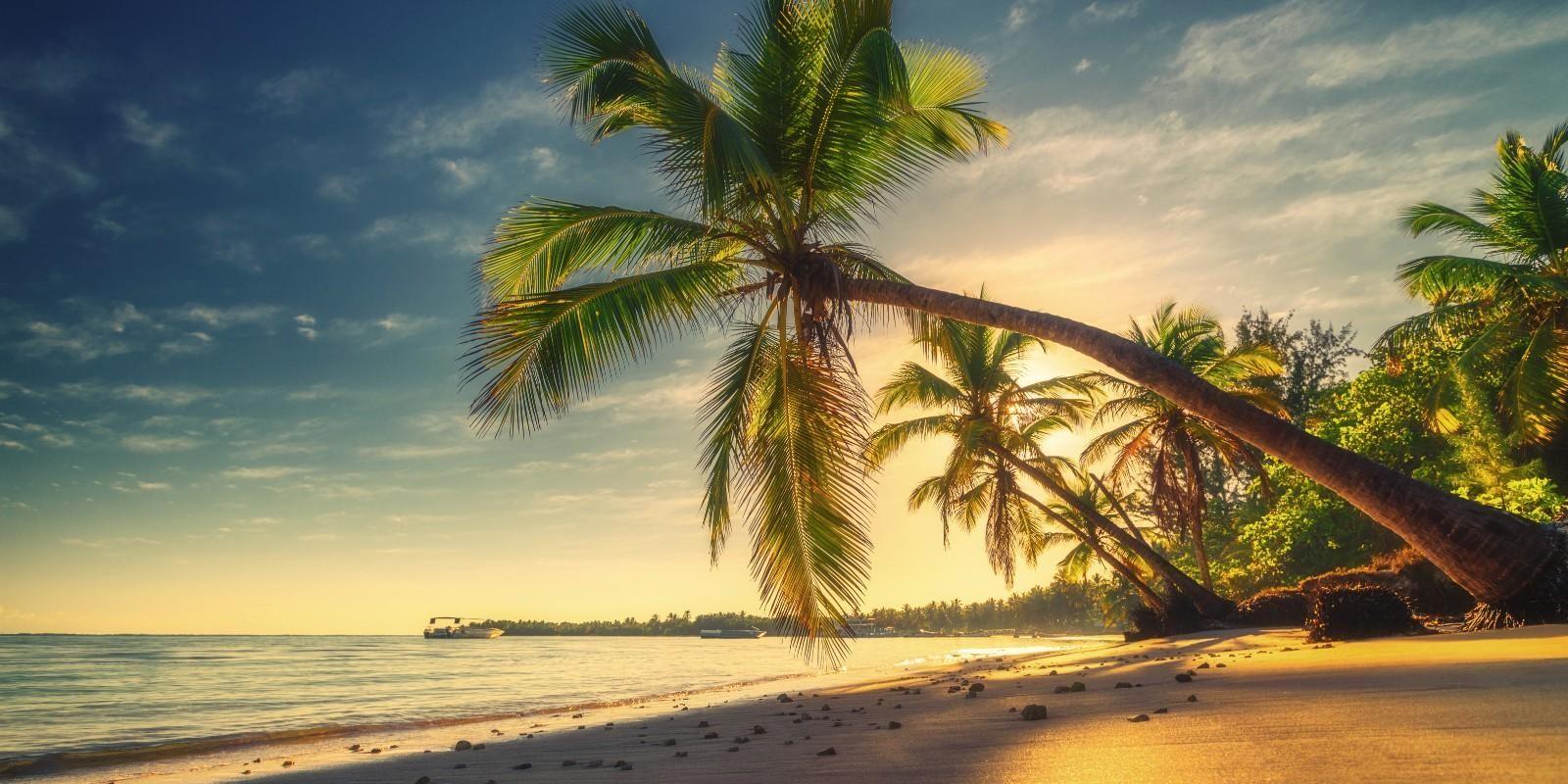 Punta Cana 2026: por qué se consolida como uno de los destinos inmobiliarios más fuertes