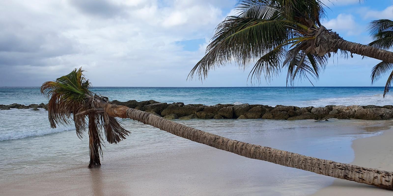 El interés de los grandes inversionistas en Punta Cana y su impacto inmobiliario en 2026